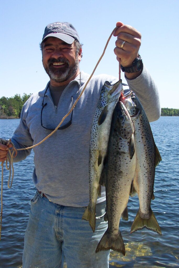 Holding a group of salmon